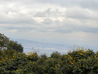 Bogotá