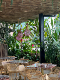 Medellín