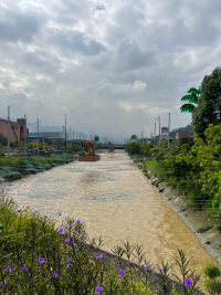 Medellín
