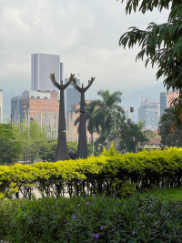 Medellín