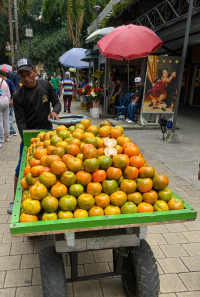 Medellín