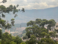 Medellín