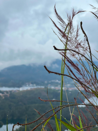 Guatapé