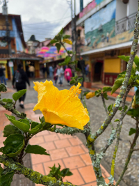Guatapé