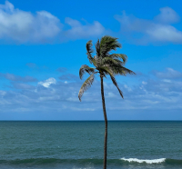 Cartagena