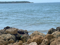 Cartagena