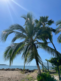 Cartagena