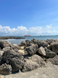 Cartagena