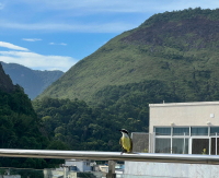 Rio de Janeiro