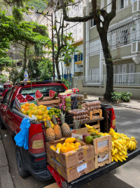 Rio de Janeiro