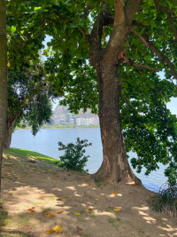 Rio de Janeiro