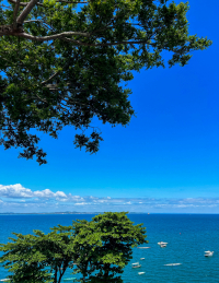 Salvador de Bahia