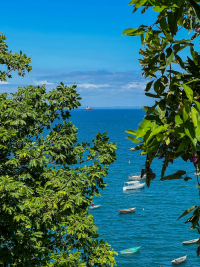 Salvador de Bahia