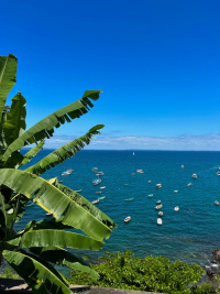 Salvador de Bahia