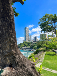 Salvador de Bahia