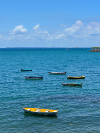 Salvador de Bahia