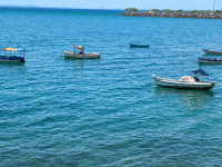 Salvador de Bahia