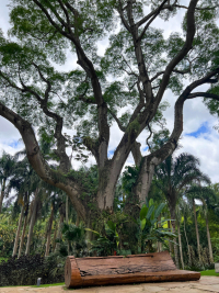 Belo Horizonte