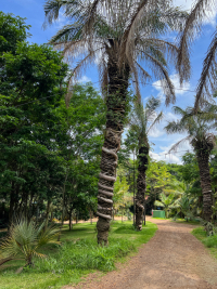 Belo Horizonte