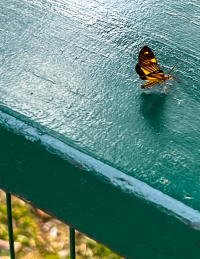 Foz do Iguaçu