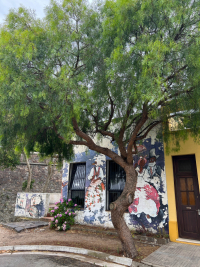 Uruguay