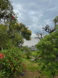 Uruguay