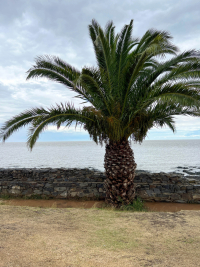 Uruguay