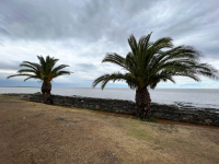 Uruguay
