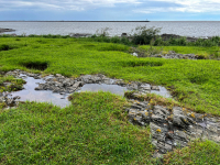 Uruguay