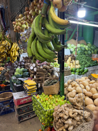 Costa Rica