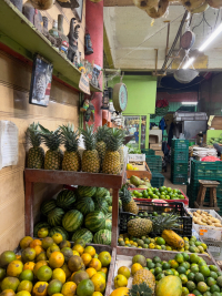 Costa Rica
