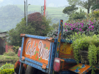 Quebrada Honda
