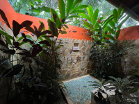 Parque Volcán Arenal