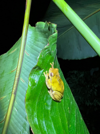 Parque Volcán Arenal
