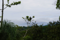 Parque Volcán Arenal