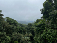 Parque Volcán Arenal