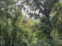 Parque Volcán Arenal