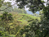 Parque Volcán Arenal