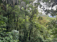 Parque Volcán Arenal