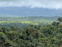 Parque Volcán Arenal