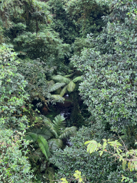 Parque Volcán Arenal