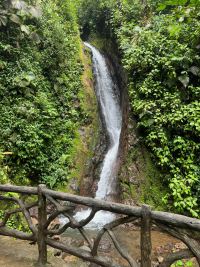 Parque Volcán Arenal
