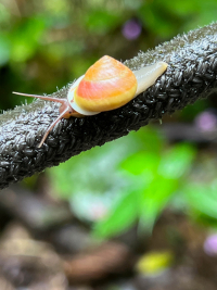 Parque Volcán Arenal