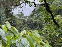 Parque Volcán Arenal