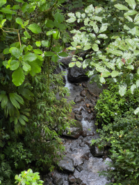 Parque Volcán Arenal