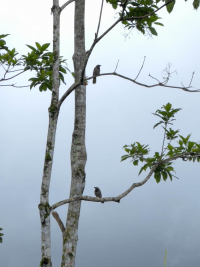 Parque Volcán Arenal