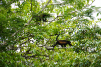 Parque Volcán Arenal