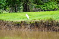 Parque Volcán Arenal