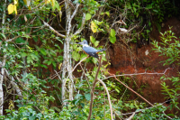 Parque Volcán Arenal