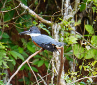 Parque Volcán Arenal
